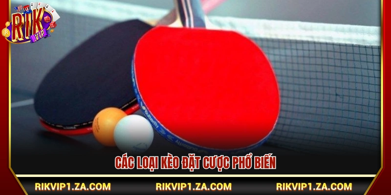 Cá Cược Bóng Bàn Rikvip – Tỷ Lệ Kèo Cạnh Tranh Mỗi Ngày 3 Những hình thức cược bóng bàn thông dụng