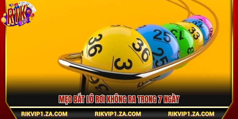 Mẹo Bắt Lô Rơi Hiệu Quả Từ Kinh Nghiệm Thực Tế 4 Mẹo bắt lô rơi 7 ngày không ra